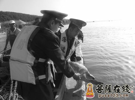 渔民放生百斤海龟图片_WWW.66152.COM