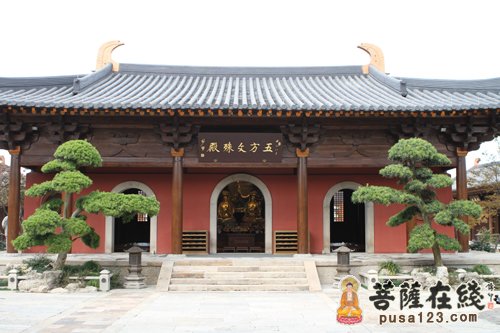 带您走进松江知也禅寺